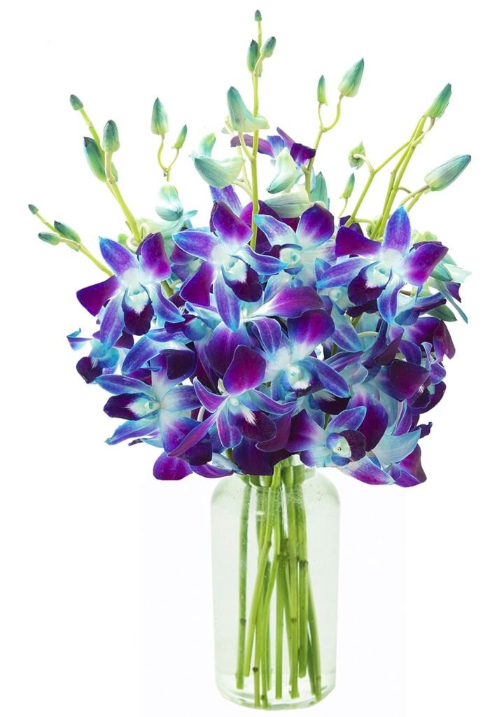 Flowers and Floral Arrangements for Women on Valentine's Day: The Perfect Gift to Fall in Love in 2025 8 Valentine's Day flowers