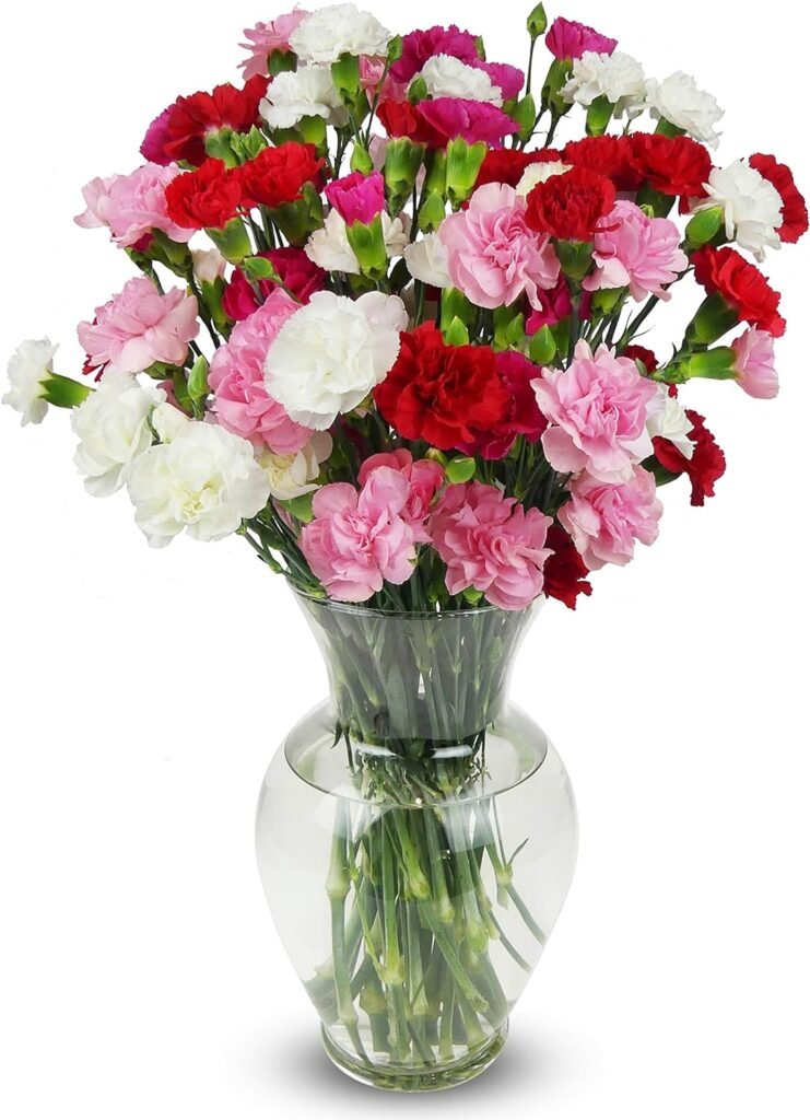 Flowers and Floral Arrangements for Women on Valentine's Day: The Perfect Gift to Fall in Love in 2025 5 Valentine's Day flowers